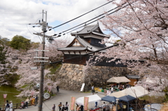城郡城 058