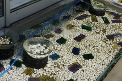 P1000438