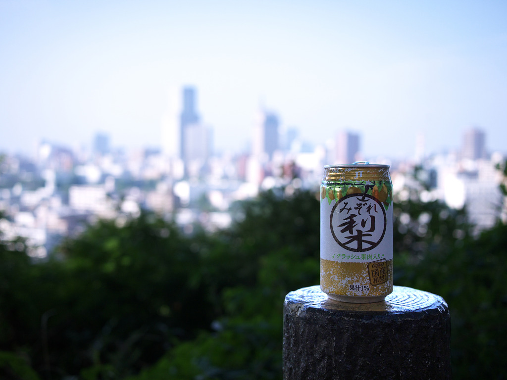 みぞれ梨