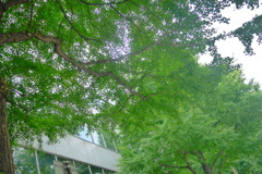P1000168