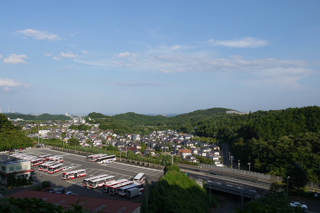 P1010351