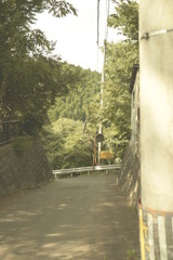 P1010126