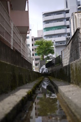 P1000154
