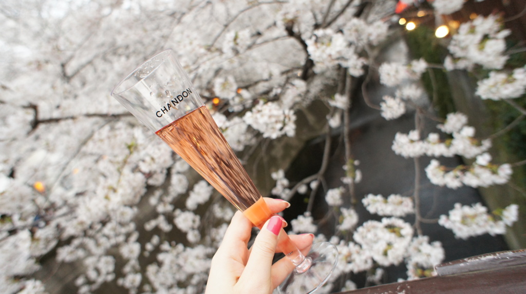 桜にCheers♪