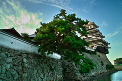中津城