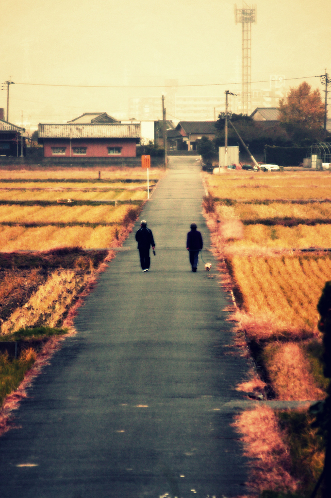 散歩道