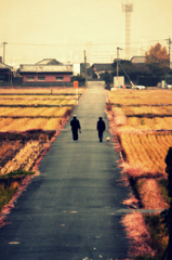 散歩道