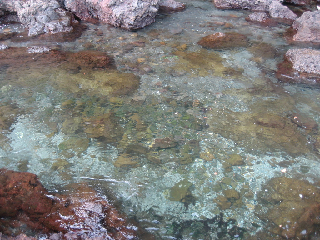 伊豆の海