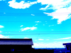 なつのかおり