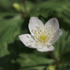 P4025578