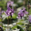 P4025566