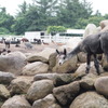 ブーツがお似合い