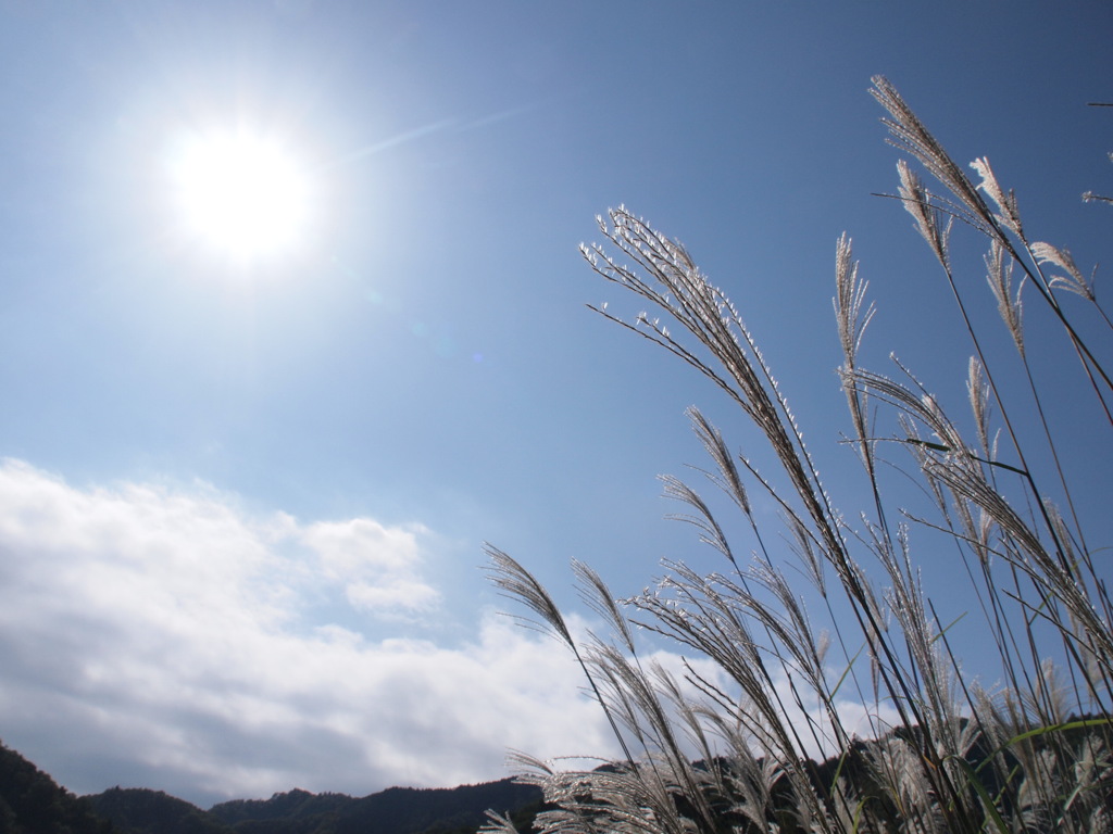 丹沢・宮ケ瀬湖