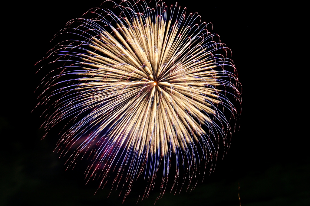 夜空に咲く大輪の花