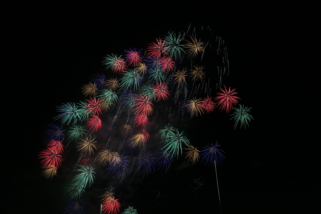 夜空のお花畑