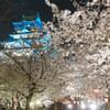 夜宴　桜満開