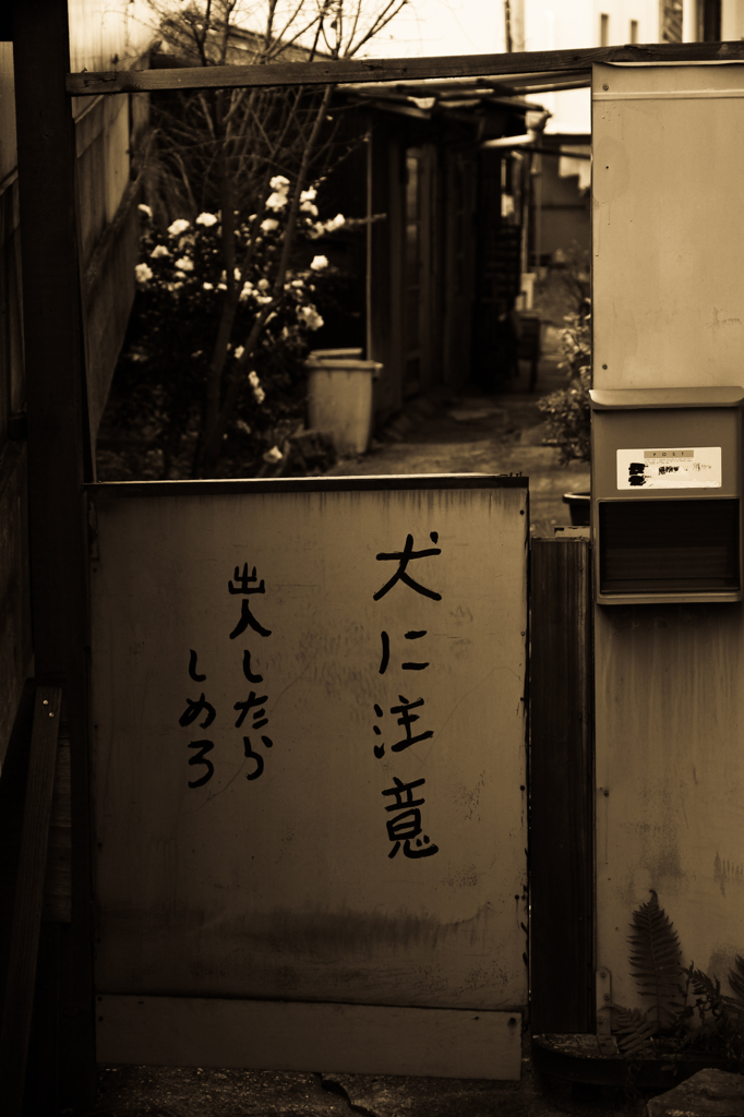 犬に注意