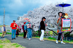 ふっさ桜まつり