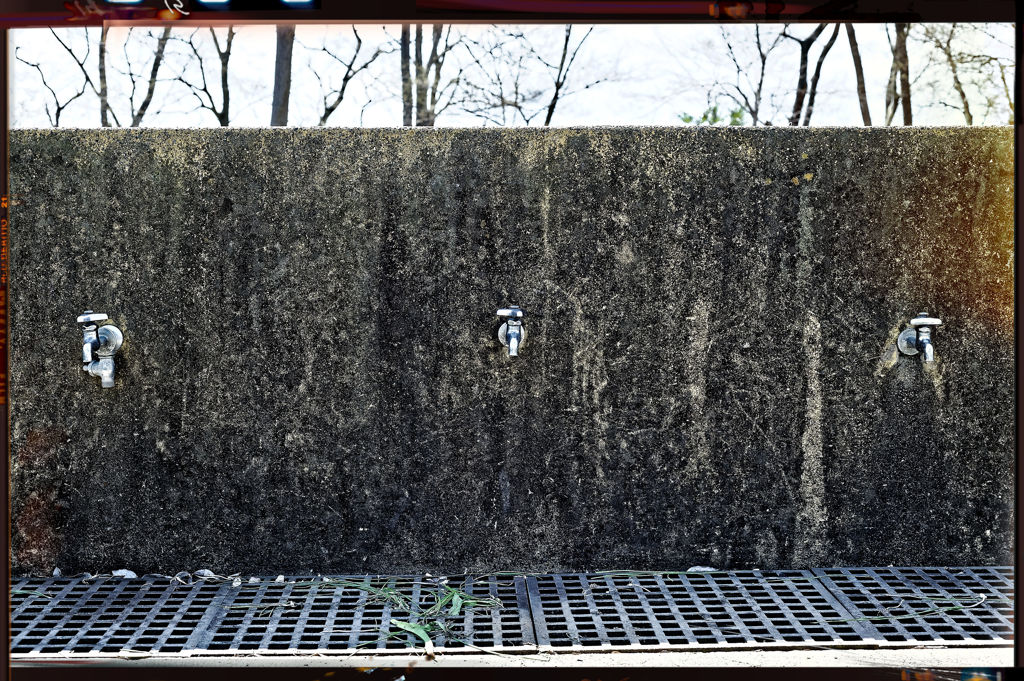 2015sakura_and so on_03