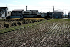 秋の景色