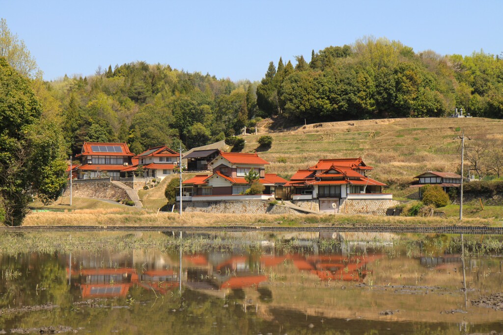 春の石州瓦