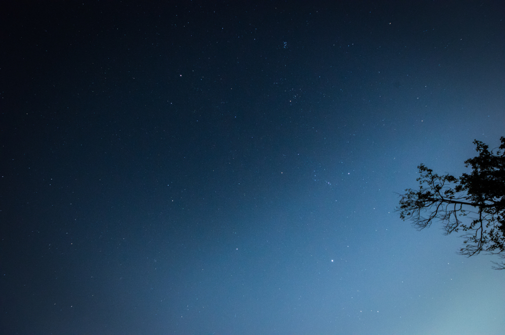 願い星