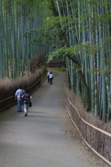 嵐山竹林
