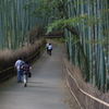 嵐山竹林