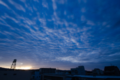 新しい朝が来た