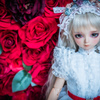 ベルサイユのバラ展 in 天使の里