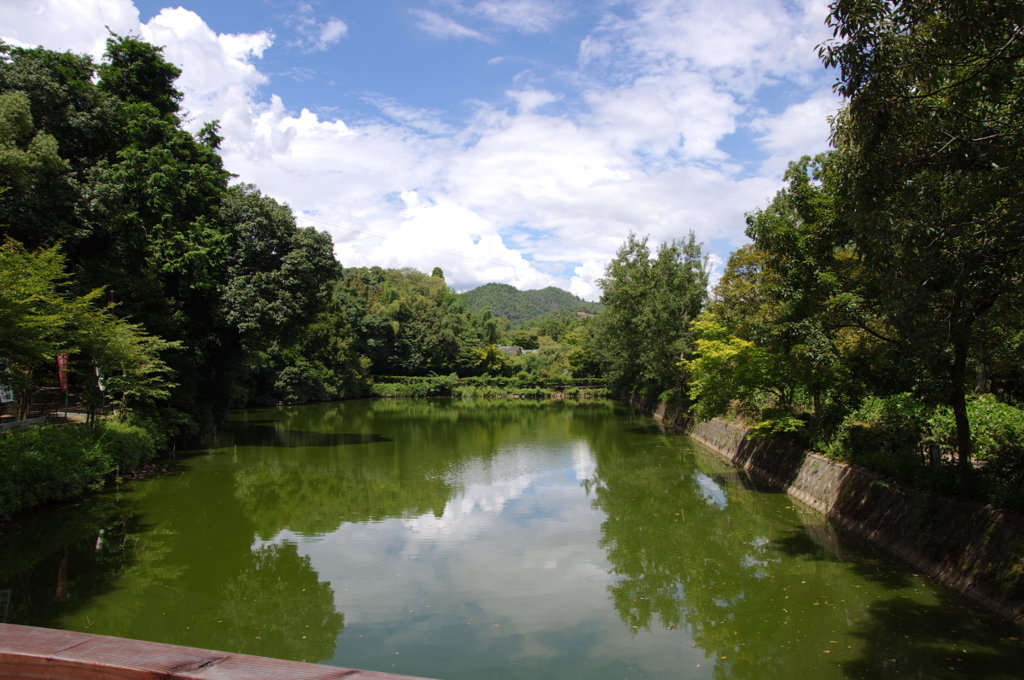 残夏。