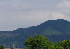 IMGP0641