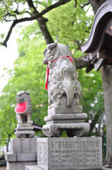 近所の神社２