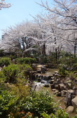 公園