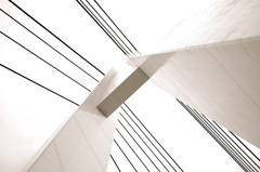 橋