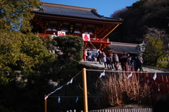 鶴岡八幡宮と大イチョウ。