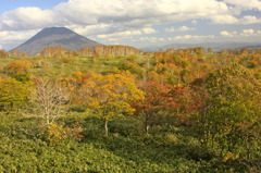 来たぁ〜！！羊蹄山と紅葉^^