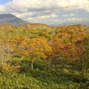 来たぁ〜！！羊蹄山と紅葉^^