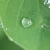 玉水