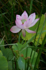 IMGP5568