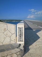 IMG_4822_R