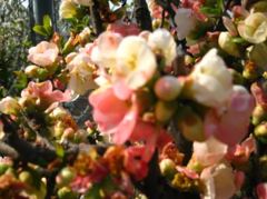 IMG_5739_R