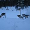 DSCN2906_R_R