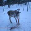 DSCN2914_R_R