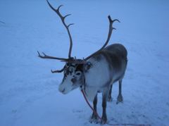 DSCN2921_R_R