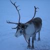 DSCN2921_R_R