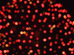 IMG_1156_R