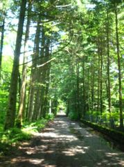 IMG_0064_R