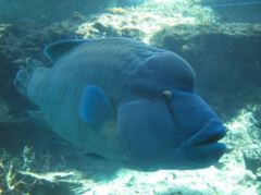 IMG_4764_R