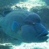 IMG_4764_R